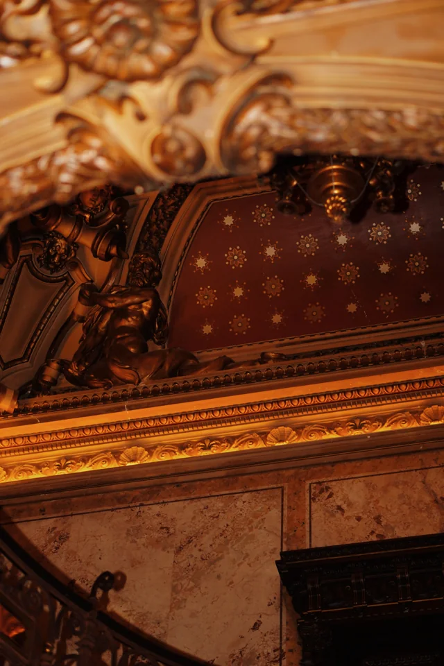 Ornamente si plafon pictat deasupra scarii